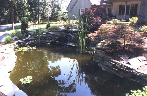 water-ponds-142